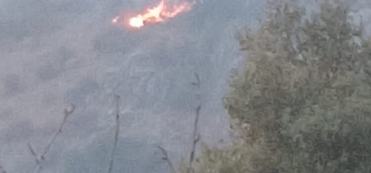 حريق في منطقة صنين وجهود مشكورة أدت للسيطرة عليه