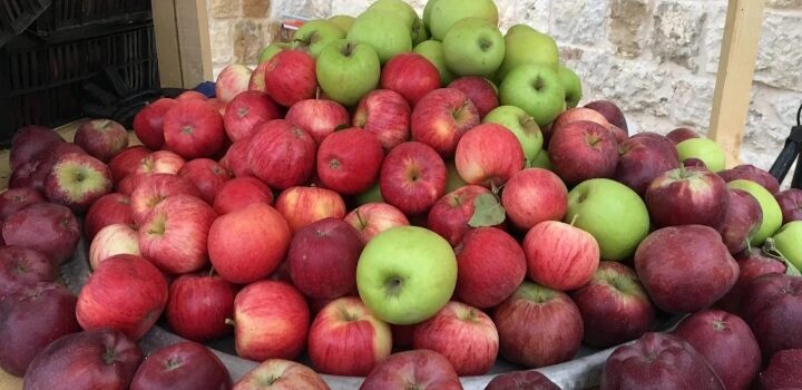 الوكالة الوطنية للإعلام/ بلدية بسكنتا: مهرجان التفاح في 3 و 4 و 5 ت1 دعوة للفرح والتلاقي ومساعدة المزارعين في تسويق منتجاتهم